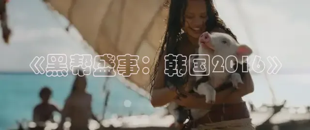 88影视网